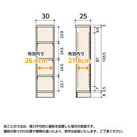 大洋 Shelfit カラーラックタフ 幅300×奥行250×高さ1170mm ダークブラウン NCタフ1230SR(DB) 1台（直送品）