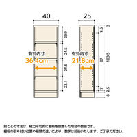 大洋 Shelfit カラーラックタフ 幅400×奥行250×高さ1170mm ダークブラウン NCタフ1240SR(DB) 1台（直送品）