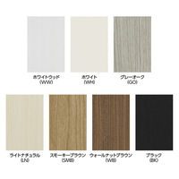 大洋 Shelfit 鍵付き 収納庫 幅698×奥行465×高さ1911mm OFS1970D45 SMB+5段扉幅木 1台（直送品）