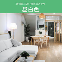 オーム電機 LED電球小形 E17 60形相当 昼白色 2個入 LDA6NGE17IS532P 1セット(2個)