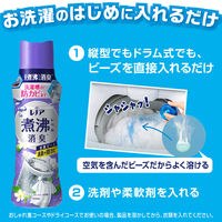 レノア 超消臭 煮沸レベル消臭 抗菌ビーズ 消臭+防カビ クリーンフレッシュ 詰め替え 365mL 1個 抗菌 P＆G