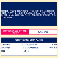 チョコレート菓子 プレミアムガーナ　濃厚生チョコレート　芳醇カカオ　12枚入 1セット（1個×6）