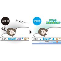 サンファミリー 洗える防ダニ除湿シート ブルー a25017 1セット(2枚組)