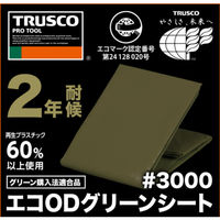 トラスコ中山 　エコＯＤグリーンシート　＃3000　2．7×2．7ｍ ODSー2727 1枚