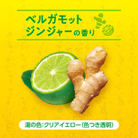 バブ ベルガモットジンジャーの香り 1箱（20錠入） 花王 (透明タイプ)