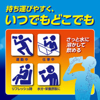 大正製薬　リポビタンウォーター シャインマスカット風味　1セット（1箱（10包入）×3） 500ml用　パウダータイプ