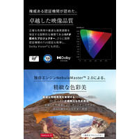 Anker Nebula X1 N23515F1 1個