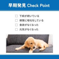 ベッツウェル 犬用食事療法食 消化器ケア 低脂肪 1kg 1袋 マルカン ドッグフード