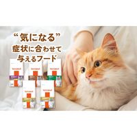 ベッツウェル 猫用食事療法食 下部尿路ケア 500g 1セット（1袋×12）マルカン キャットフード