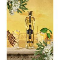 フランス サンジェルマン エルダーフラワー リキュール 20度 750ml 1本 正規品 サッポロビール