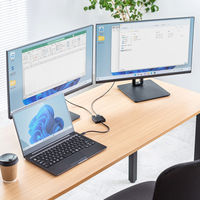 サンワサプライ USB Type CーHDMI変換アダプタ(2ポート/4K対応) AD-ALCMST2HD2 1個（直送品）