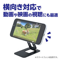 ナカバヤシ MagSafe対応スタンド 角度調整2軸 ブラック SST-22BK 1個