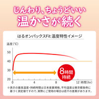 はるオンパックス フィット 1セット（1袋（8個入）×3） エステー