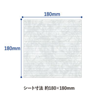 コクヨ 微細繊維で軽く拭けるガラス・液晶用ドライシート Lサイズ 50枚入 ヒビフル KHF-CG133 1箱(50枚)