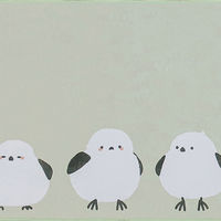 オカトー キッチンマット フラフィット インテリアマット 45×120cm コトリ 479643 1個（直送品）