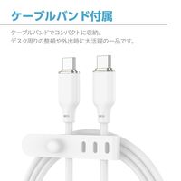 センチュリー PD60W対応TypeーCケーブル1.2m CC-JD60W12WH Type-CtoC Cable 1_2m 1個