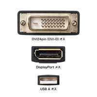 サンワサプライ  DVI-DisplayPort変換アダプタ（4K/30Hz） AD-DVDP01（直送品）
