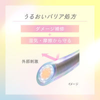 数量限定　エッセンシャル プレミアム バリアシルキー本体 各450ml＋ウォータートリートメント スムース ペアセット
