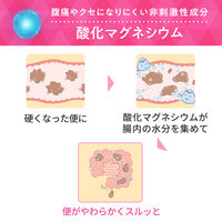 ビオフェルミン酸化マグネシウム便秘薬 360錠 大正製薬 便秘に伴う頭重・のぼせ・肌あれ・吹き出物の緩和【第3類医薬品】