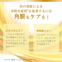 マイティアアイテクトEX 15mL 第一三共ヘルスケア なみだ目 異物感 目のかゆみ 結膜充血【第2類医薬品】