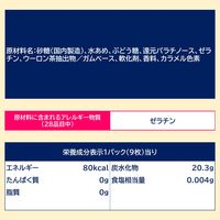 ガム 個包装  イブ　9枚 1セット（1個×6）