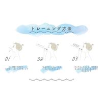 ルピナス 長息生活 レベル1ピンク 健康 美容 トレーニング リハビリ 口呼吸防止 T09776 1箱(10本入)