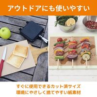 まな板をまもるシート 大容量 厚手の紙で汚れを防ぐ 約25cm×20cm 日本製（1箱（100枚入）×5）東洋アルミ