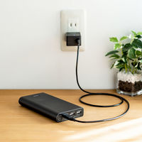 サンワサプライ USB Power Delivery対応モバイルバッテリー BTL-RDC22 1個（直送品）