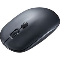 サンワサプライ 静音ワイヤレステンキーマウスセット NT-WL23SETBK 1個（直送品）