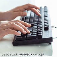 サンワサプライ 日本語109キーボード　抗菌防水防塵タイプ SKB-BS6BK 1個