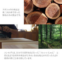 杉生 デタッチテーブル　ロータイプ DT-DT-L 1台（直送品）