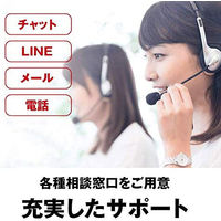 NAS（ネットワークハードディスク）8TB 2ドライブ リンクステーション HDD LS220D0802G 1台 バッファロー（直送品）