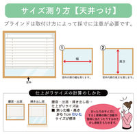 ※低価格※【1cm単位】アルミブラインド＜遮熱＞幅101cmx高さ88cm rzn5835_w101h88r 1セット トーソー（直送品）