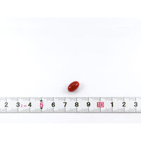 ナイトミン 眠る力 快眠サポートサプリ 約20日分（20粒入り） 1セット（2袋） 【小林製薬の機能性表示食品】