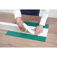 アサヒペン SPC多用途パネル 152X915X2 STP-03 1個（直送品）