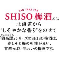 チューハイ 合同酒精 鍛茶 鍛高譚 たんたかたん しそ SHISO梅酒の紅茶ハイ 缶 350ml 6本