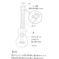 (らこれキッズ)ギター パープル LAKOLE/ラコレ