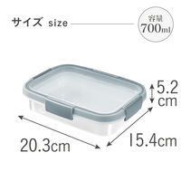 カーバー（CURVER）スマートフレッシュ 保存容器 長方形 700ml 電子レンジ対応 1個 藤栄