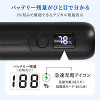 オウルテック バッテリー残量が数値で分かる 20000mAh PD60W モバイルバッテリー OEC-LPB20017-BK 1個