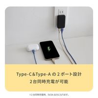 オウルテック 薄さ13mm 最大PD20W出力 GaN採用 AC充電器 OEC-APD20A1C1G-BK 1個