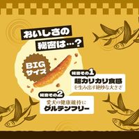 柿ノ種 国産 高級 あごだし味 50g 1セット（1袋×3）スマック ドッグフード 犬用 おやつ