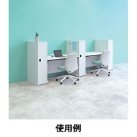 エムテックス デスクサイド個人用ロッカー（シリンダー錠） 幅300×奥行700×高さ1200mm ホワイト 1台（直送品）