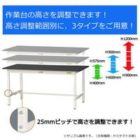 【車上渡し】山金工業 ワークテーブルLAB 実験台 耐薬品天板 高さ調整 幅900×奥行750×高さ1200mm ブラック 1台（直送品）