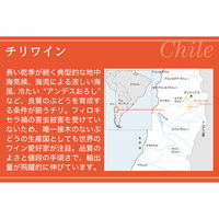 ペリート・カベルネ・ソーヴィニヨン 1.5L×2本 チリ 赤 フルボディ  赤ワイン