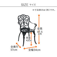 住まいスタイル アルミ製アームチェア 2脚セット 「トルペ」 BKS-C5289-2P-BLK 1セット（直送品）