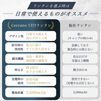 A-0007-Brown（直送品）