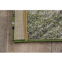 イケヒコ ガイア 玄関マット 700×1200mm グリーン 1311050016401 1枚（直送品）