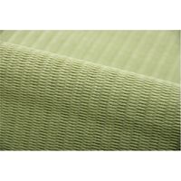 イケヒコ・コーポレーション ファームGN江戸間1畳 1090250000000 1枚