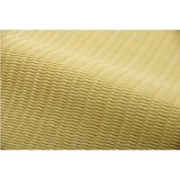 イケヒコ・コーポレーション ファームBE江戸間10畳 1090250000000 1枚