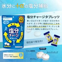 【デラックス】熱中症対策キットDX (レッド) クーラーバッグに入った応急処置セット(水分補給/塩分/保存水/防災/非常用)（直送品）